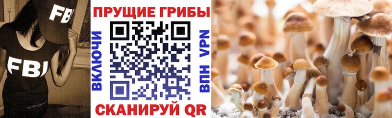 МЕГА маркетплейс  Серафимович  Псилоцибиновые грибы мухоморы  дарнет шоп 