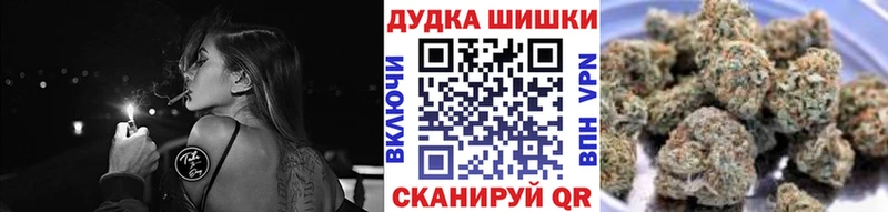 купить  цена  Серафимович  Каннабис ГИДРОПОН 